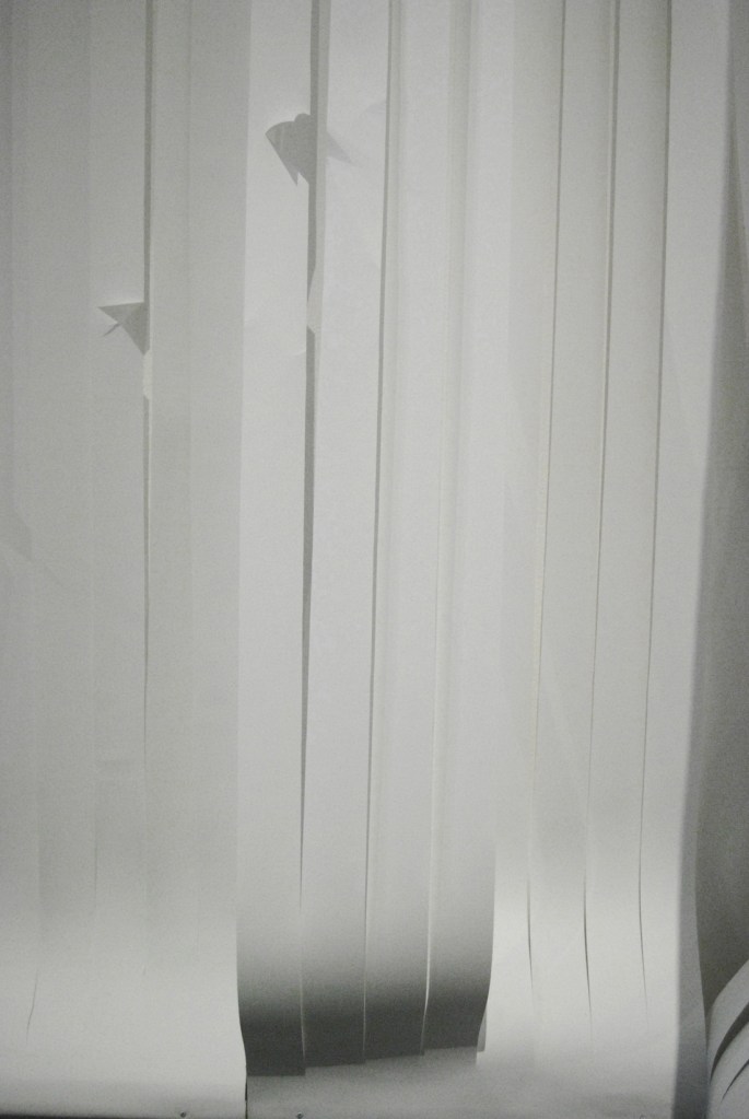 9_Lauren Simmonds The New Forest 17