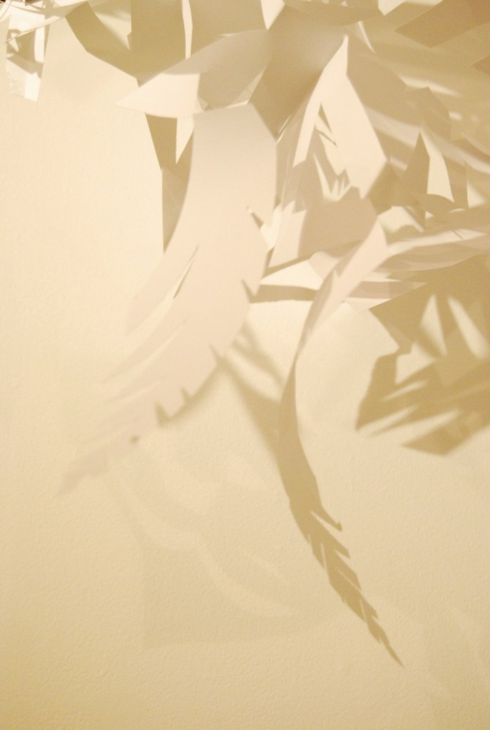 What do you believe in low